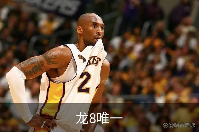 龙8唯一公司简介